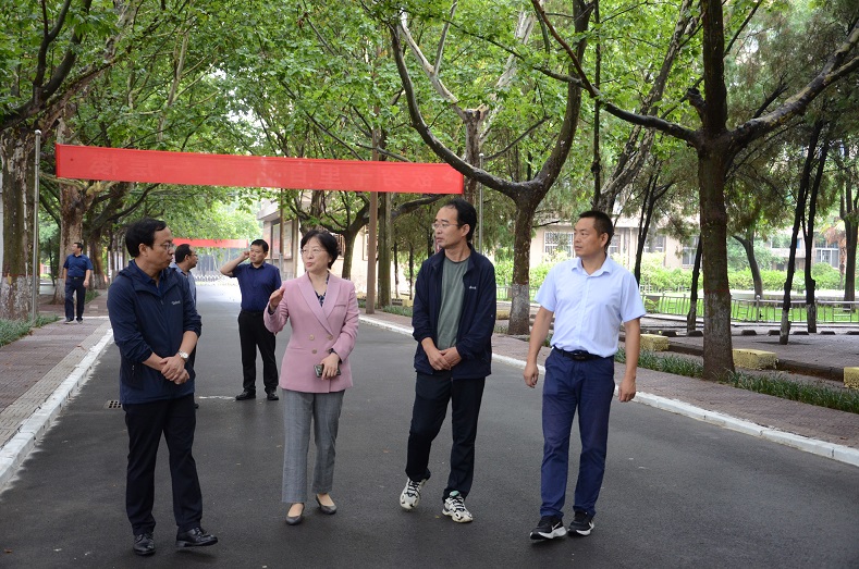 马路.JPG
